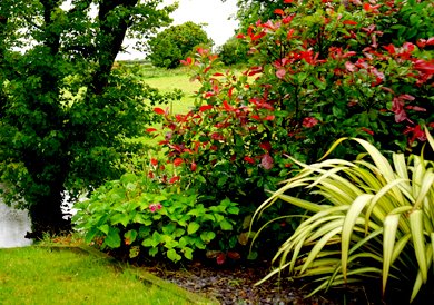 nice backyard garden design