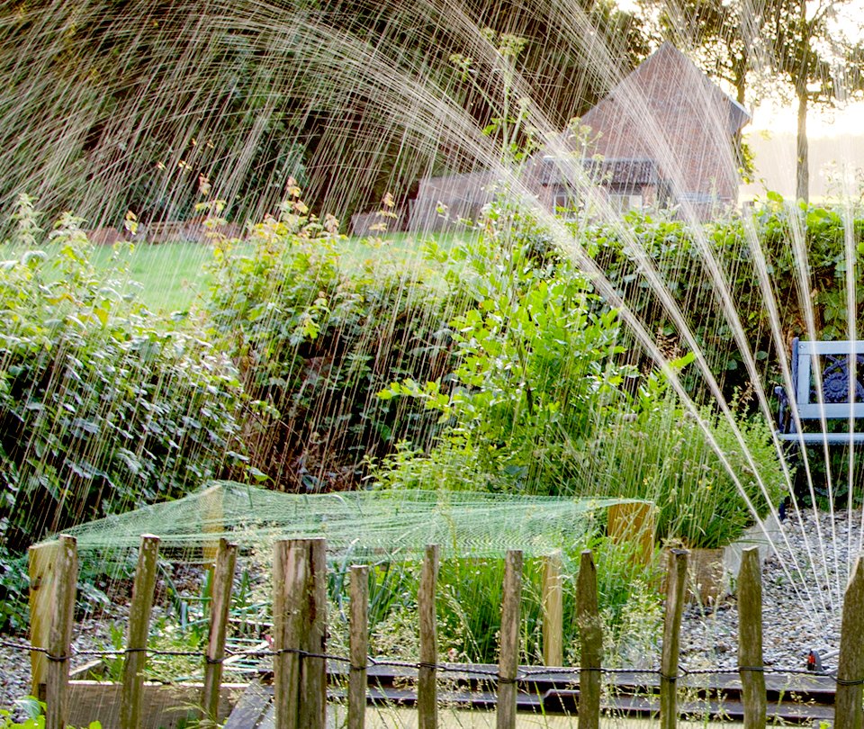 watering plants