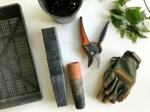 gardening tools for the beginner